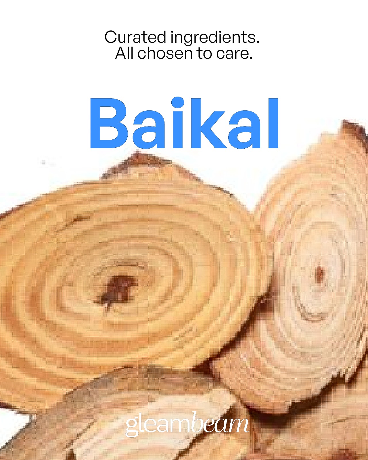 Scutellaria Baicalensis (Baikal) Root Extract